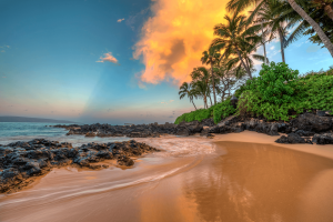 Biludlejning Kahuli Maui 